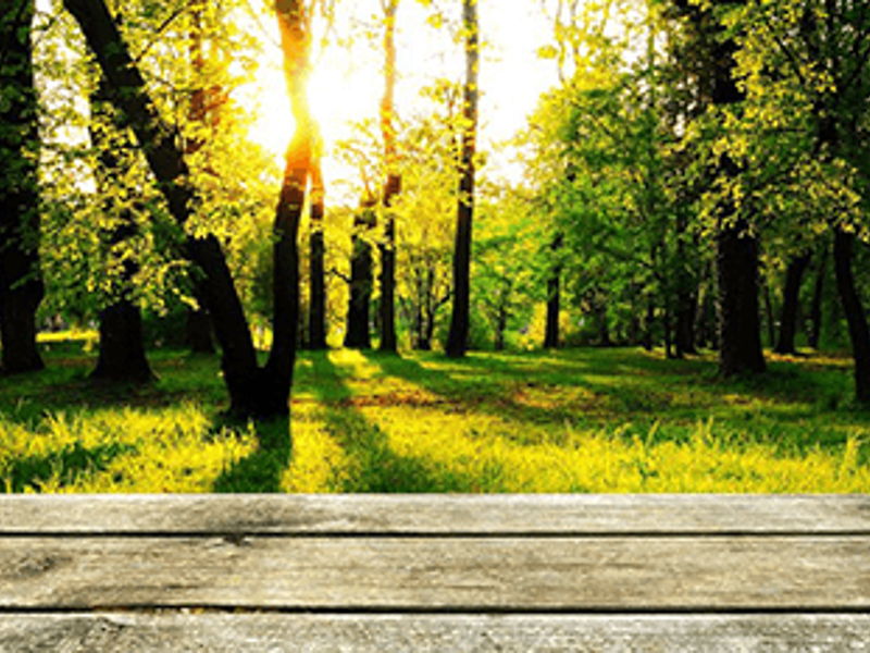 Werken milieu foto | Archive-IT