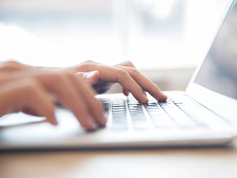 The Digital Government