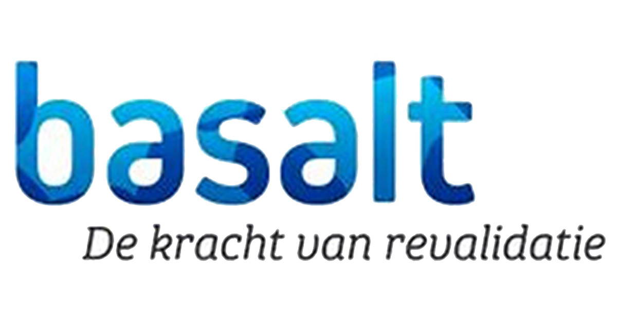 Basalt kijkt terug op een succesvol project met Archive-IT